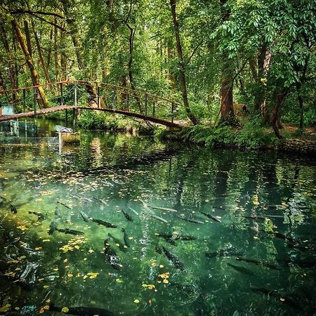 Янтарная Форель Bushtyno Buitenkant foto