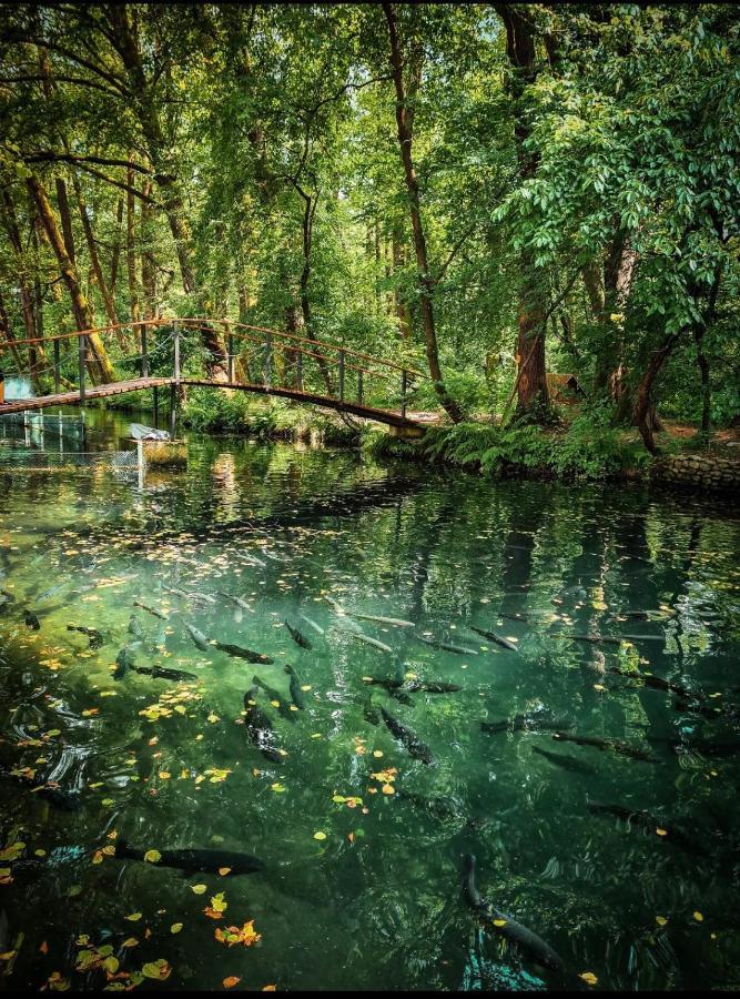 Янтарная Форель Bushtyno Buitenkant foto